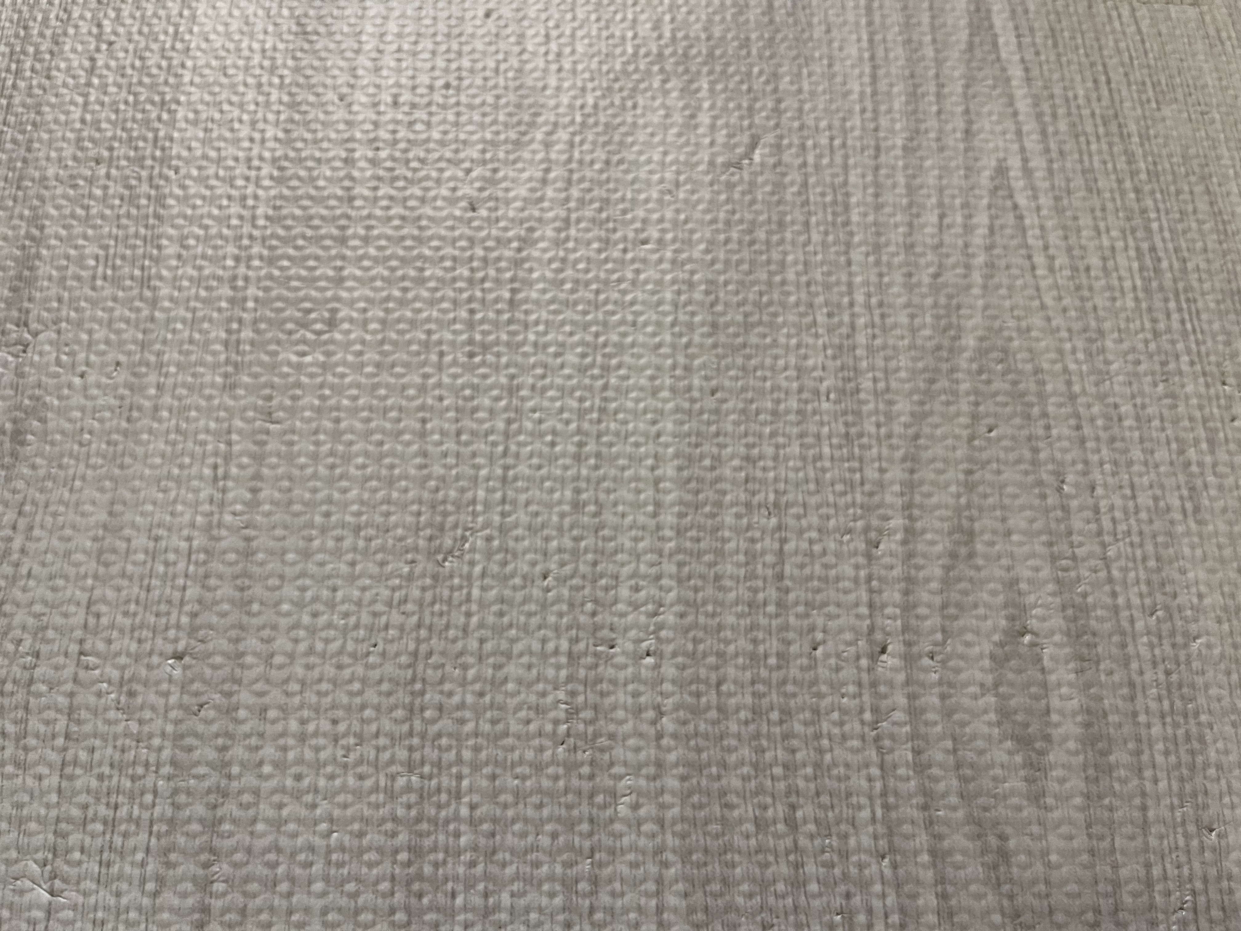 爪跡がうっすら残る部分の拡大写真