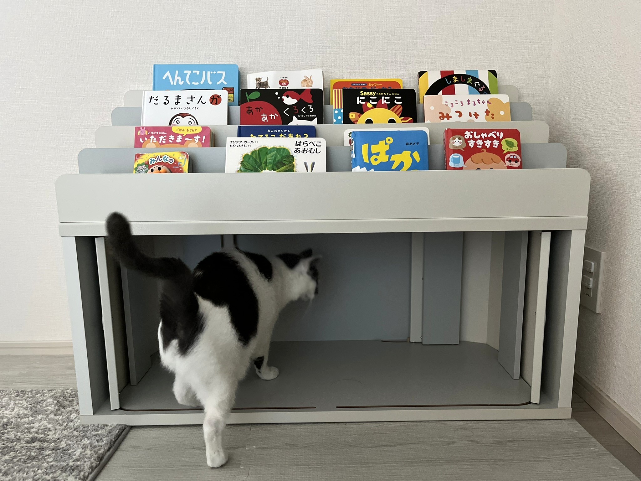 扉は開けっ放しにしておくと猫が入ってくる